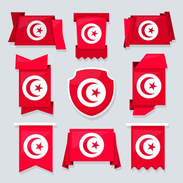 Flat design tunisia national emblems