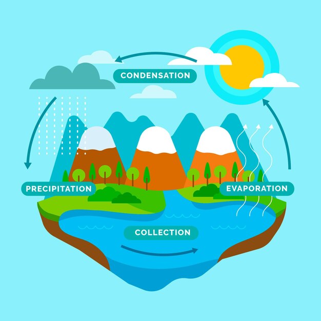 Maximizing Sustainability through Water Use and Energy Efficiency