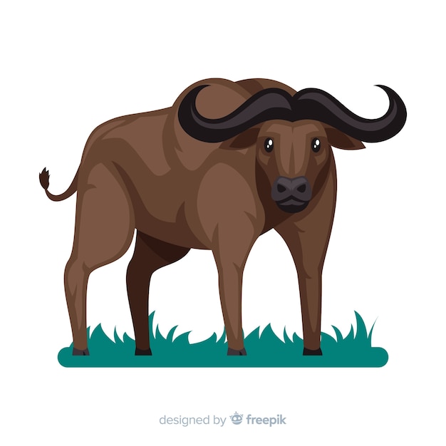 Flat design of wild buffalo