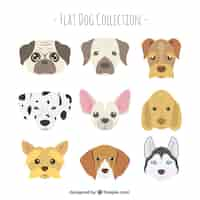 Free vector flat dog selection