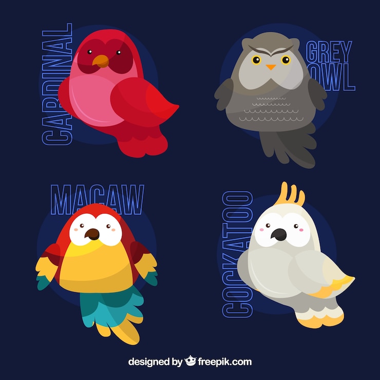 Free Vector flat exotic bird collection