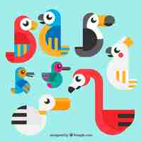 Free vector flat exotic bird collection