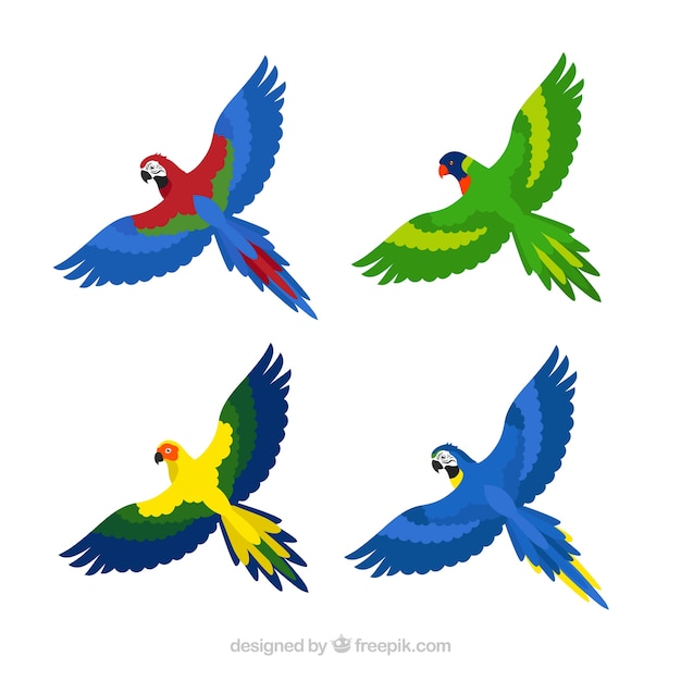 Free vector flat exotic bird collection