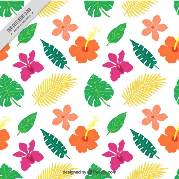 Free Vector flat exotic colored flowers and leaves background
