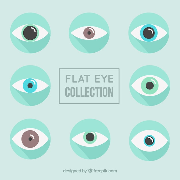 Flat eyes with different colors