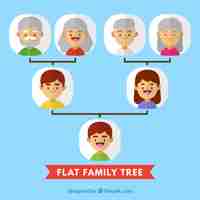 Бесплатное векторное изображение Плоский семейное древо