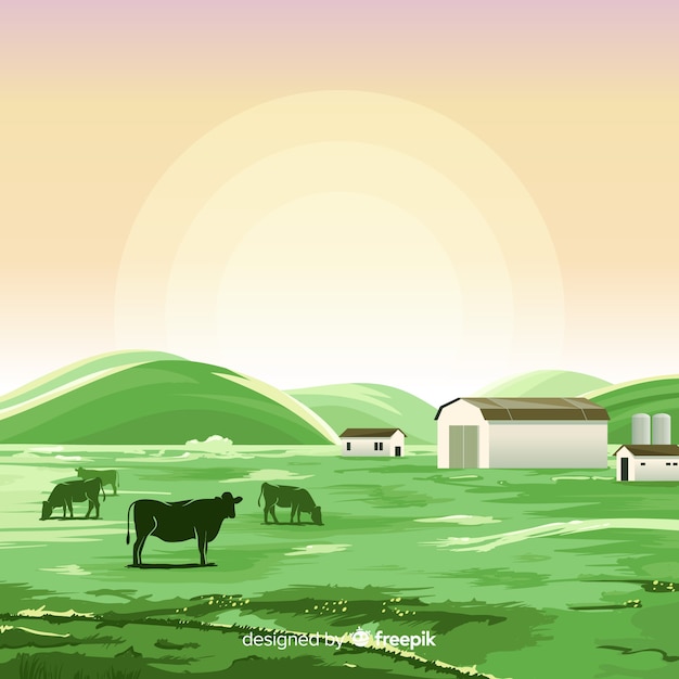 Flat farm landscape