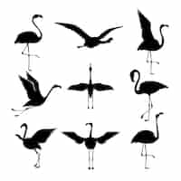 Free vector flat flamingo silhouettes collection