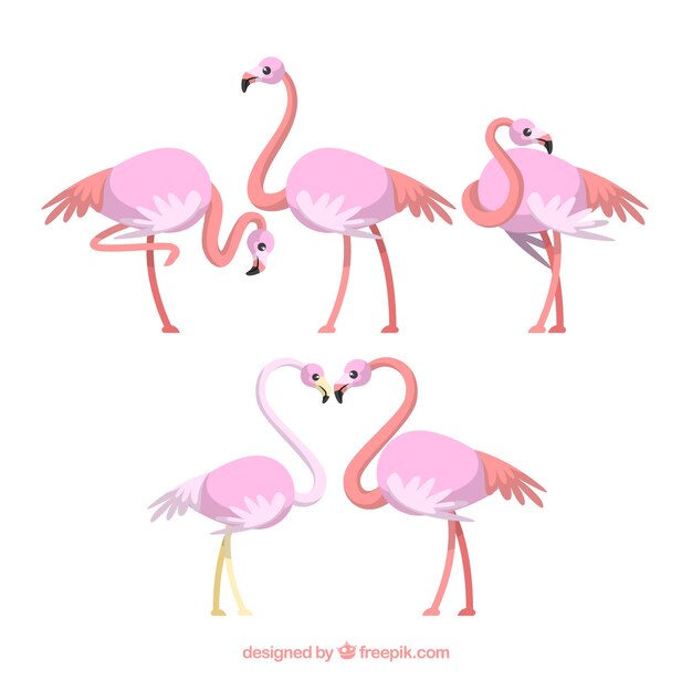 Flat flamingos collection in different poses