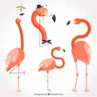 Free vector flat flamingos collection in different poses