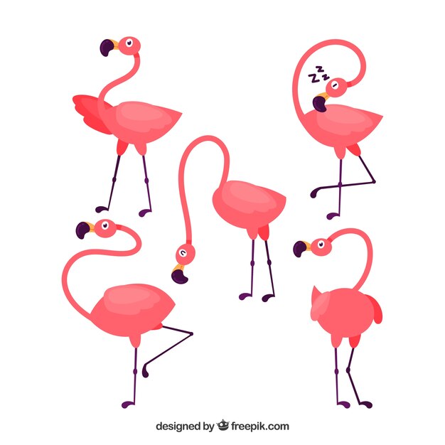 Flat flamingos collection in different poses