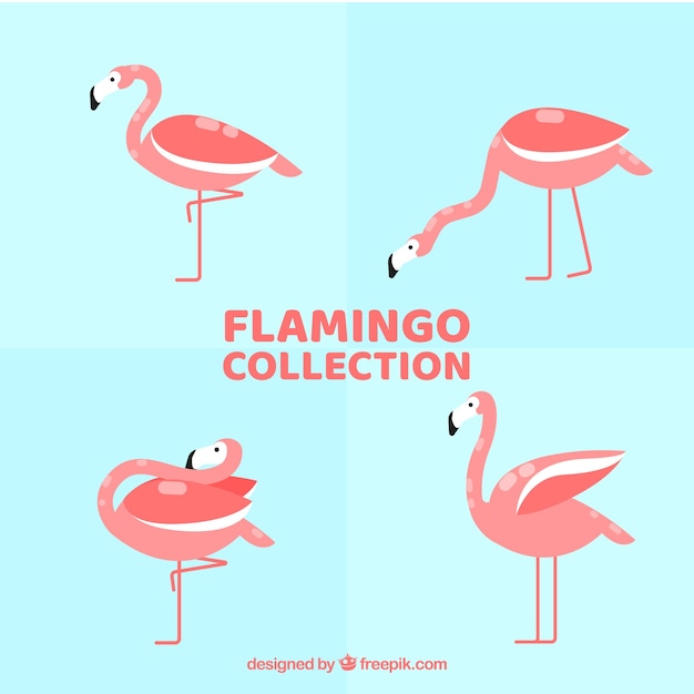 Free vector flat flamingos collection in different poses