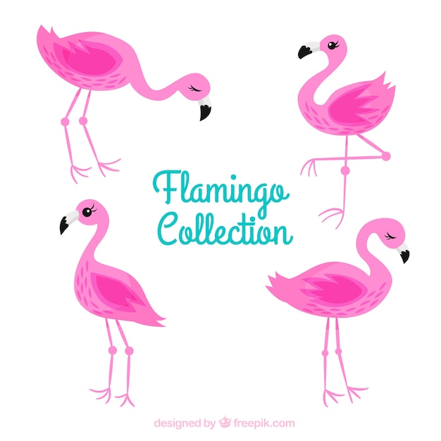 Бесплатное векторное изображение Коллекция плоских фламинго в разных позах