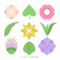 Бесплатное векторное изображение Плоская цветочная коллекция