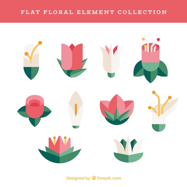 Free vector flat floral elements collection