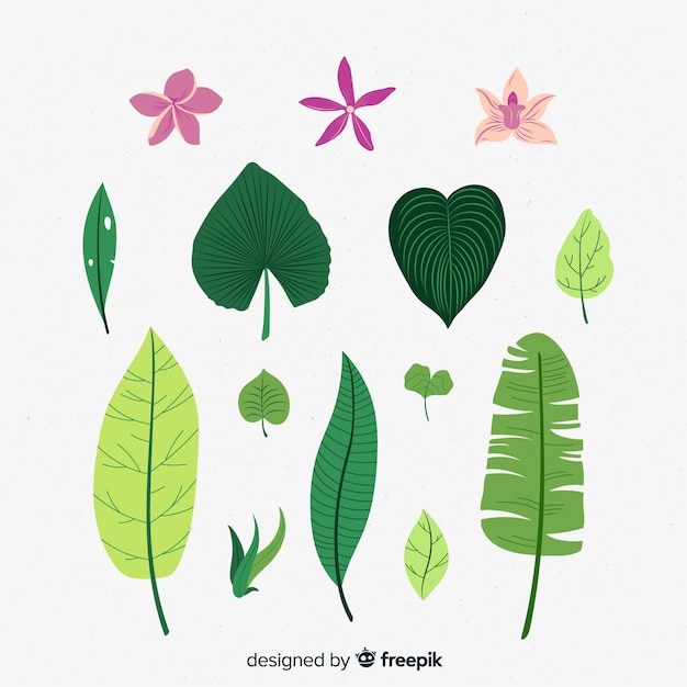 Free vector flat flower and leaf collection