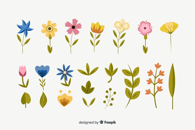Flat flowers and leaves collection