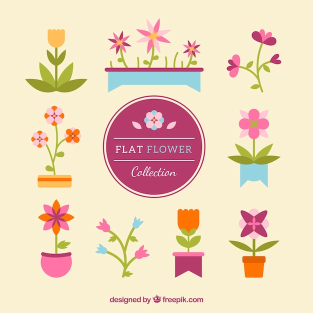 Free vector flat flowers in warm colors