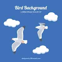 Free vector flat flying bird background