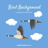 Free vector flat flying bird background