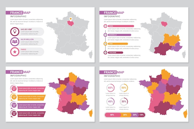 Piatto francia mappa infografica