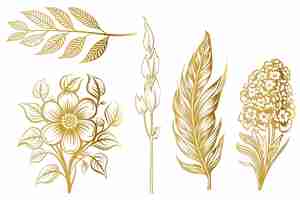 Free vector flat gold hand drawn spring flower outline collection