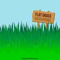 Free vector flat green grass background with sign