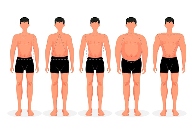 Flat-hand drawn male body shape vector templates – Free download