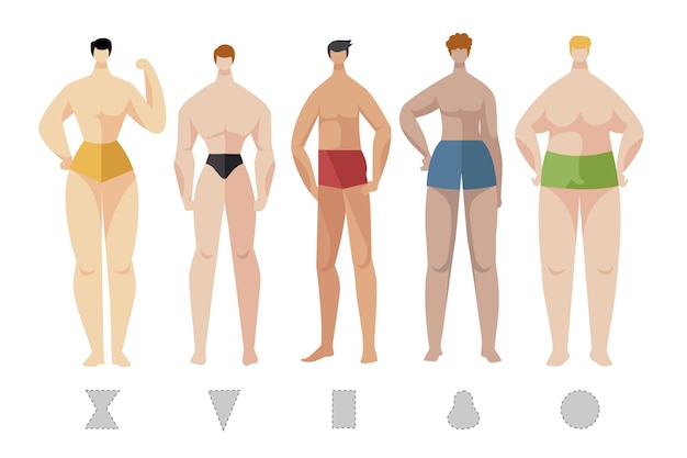 Free vector flat-hand drawn types of male body shapes