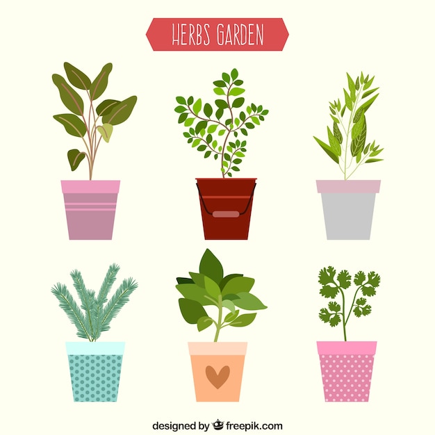 Flat herbs garden collection