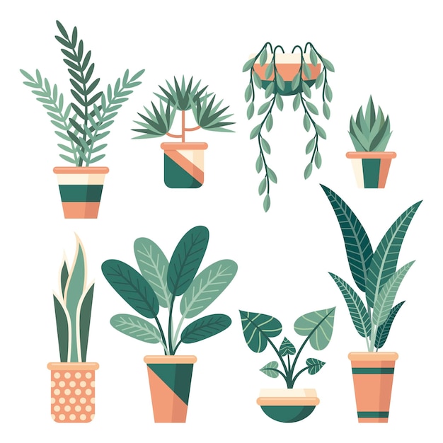 Free vector flat houseplant collection