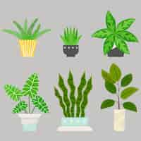 無料ベクター フラット観葉植物コレクション