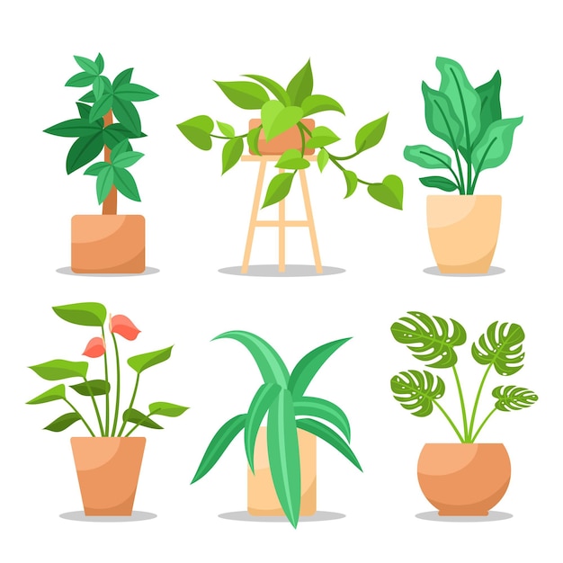 Бесплатное векторное изображение Коллекция плоских комнатных растений
