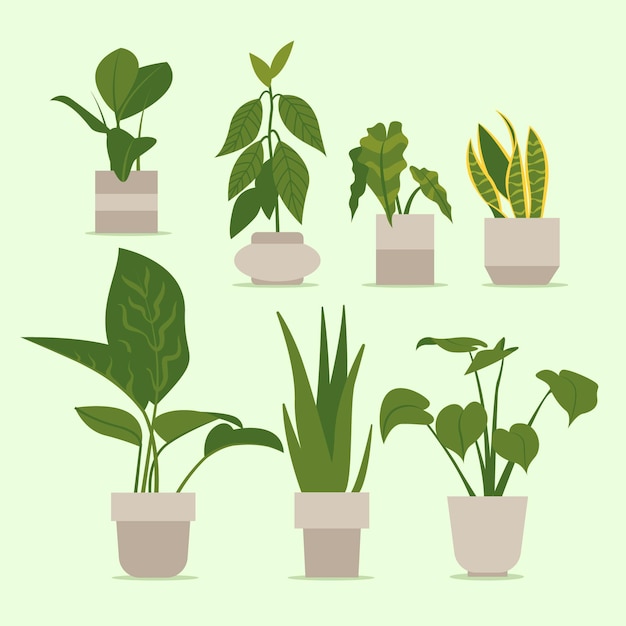 Free vector flat houseplant collection