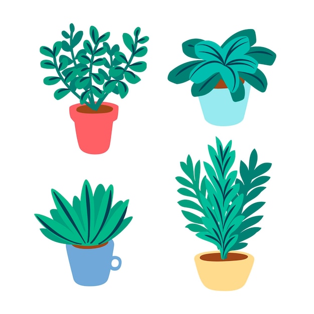 Flat houseplant collection