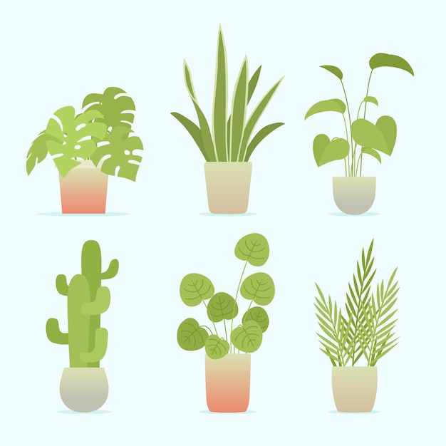 Бесплатное векторное изображение Коллекция плоских комнатных растений