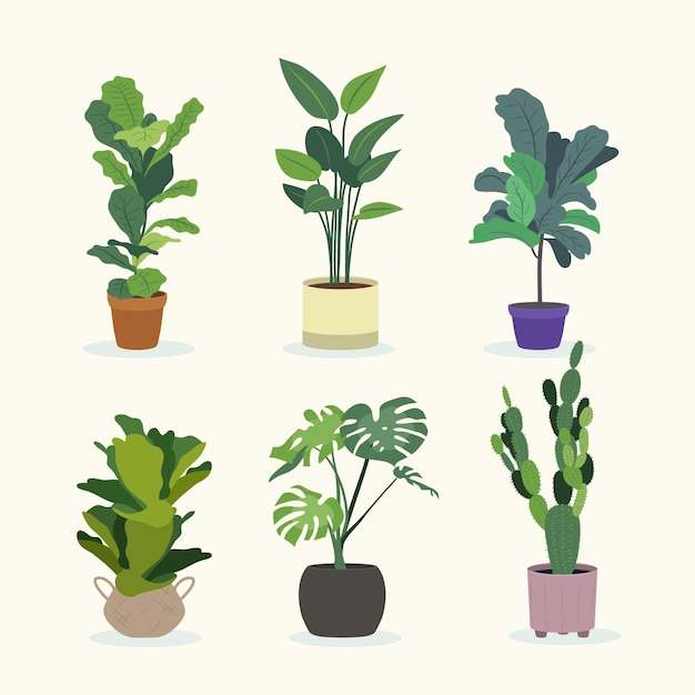 Flat houseplants illustrated collection