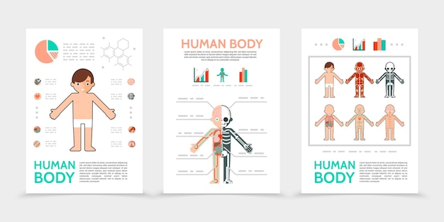 Flat human body posters
