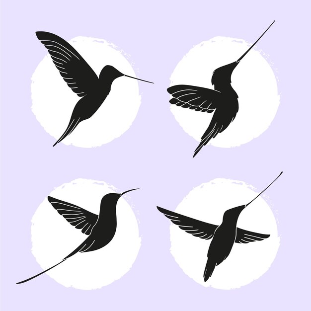 Flat hummingbird silhouettes collection