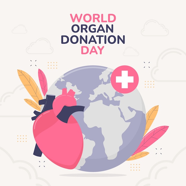 Flat illustration for world organ donation day