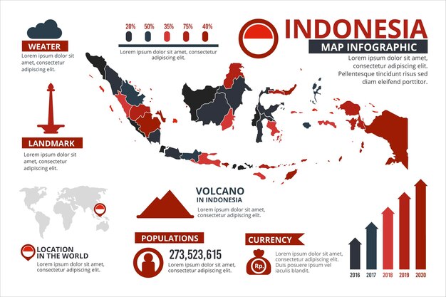 평면 인도네시아지도 인포 그래픽 템플릿