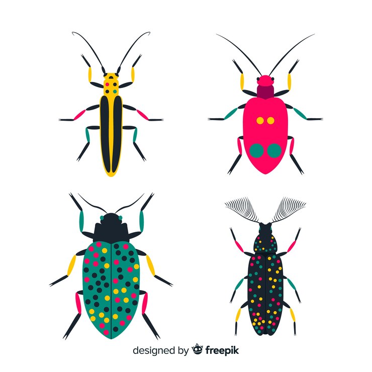 Free Vector flat insect pack