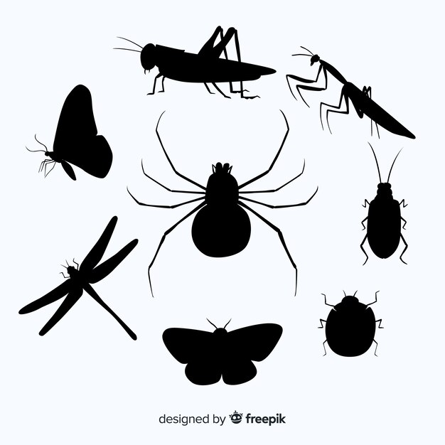 Flat insect silhouette collection