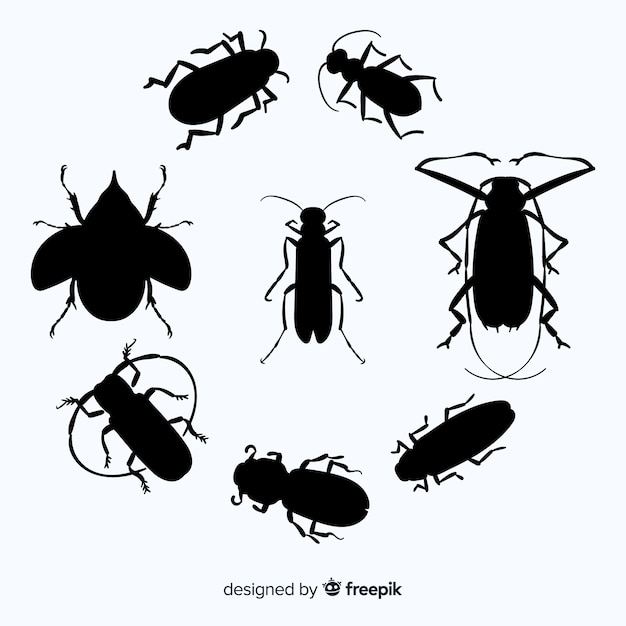Flat insect silhouette collection