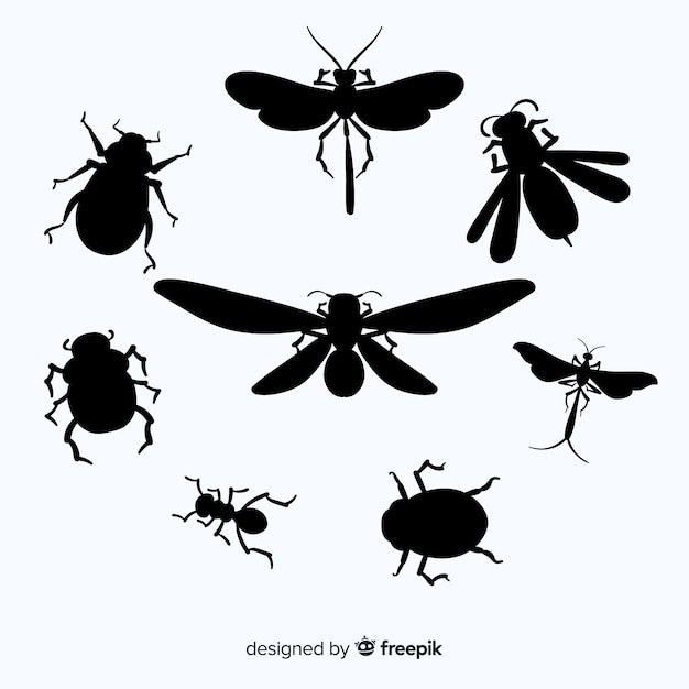 Flat insect silhouette collection