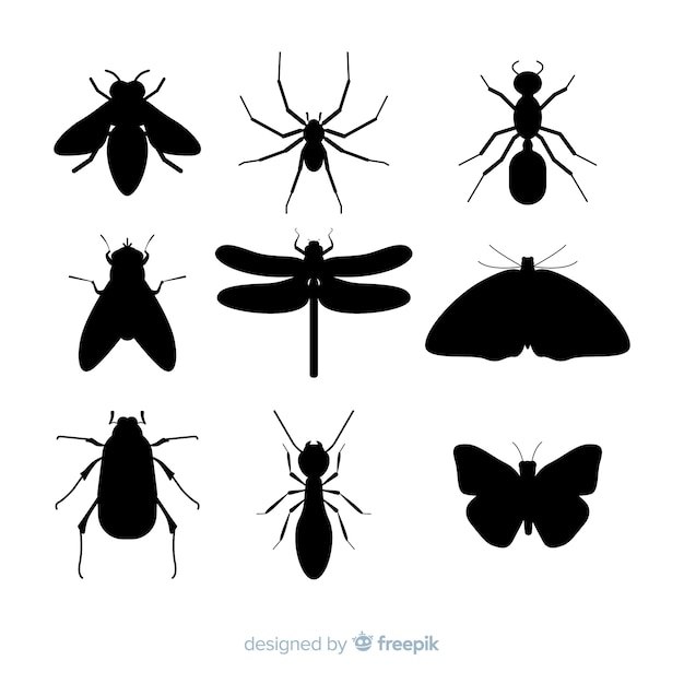 Flat insect silhouette collection