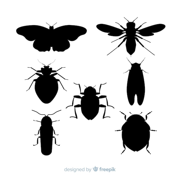 Collezione silhouette di insetti piatto