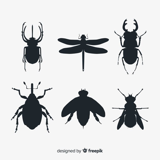 Flat insect silhouette collection