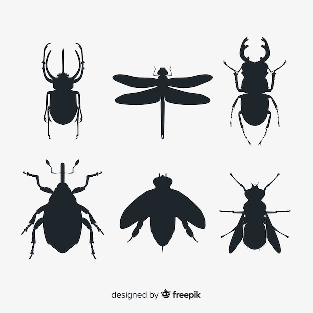 Flat insect silhouette collection