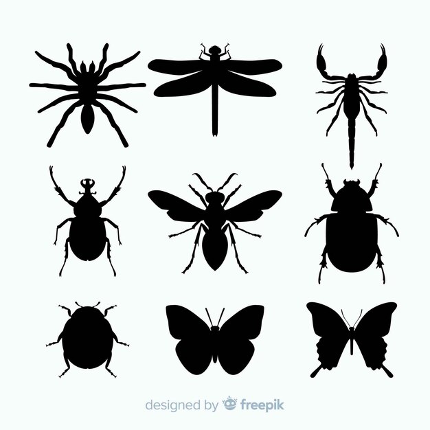 Flat insect silhouettes collection